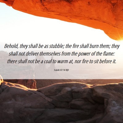 Picture 06 - Isaiah 47:14 KJV - Behold, they shall be as stubble; the fire shall - Bible Verse Picture
