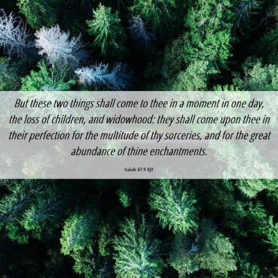 Picture 06 - Isaiah 47:9 KJV - But these two things shall come to thee in a - Bible Verse Picture