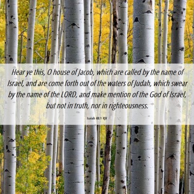 Picture 06 - Isaiah 48:1 KJV - Hear ye this, O house of Jacob, which are called - Bible Verse Picture