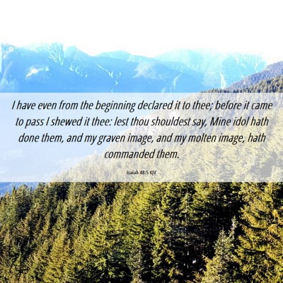 Picture 06 - Isaiah 48:5 KJV - I have even from the beginning declared it to - Bible Verse Picture