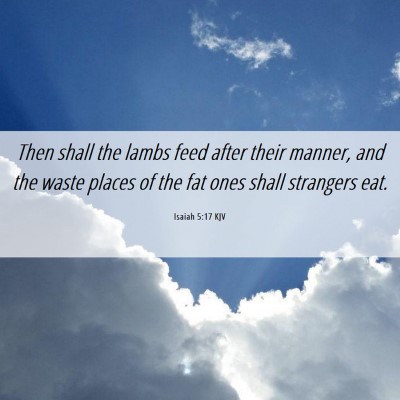 Picture 06 - Isaiah 5:17 KJV - Then shall the lambs feed after their manner, and - Bible Verse Picture