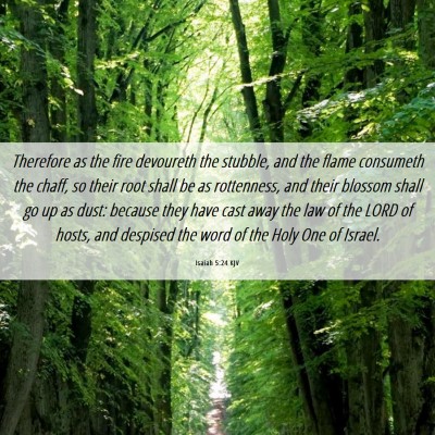 Picture 06 - Isaiah 5:24 KJV - Therefore as the fire devoureth the stubble, and - Bible Verse Picture