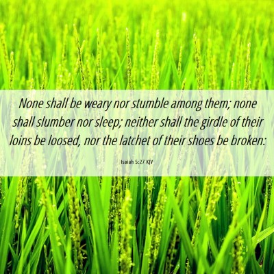 Picture 06 - Isaiah 5:27 KJV - None shall be weary nor stumble among them; none - Bible Verse Picture