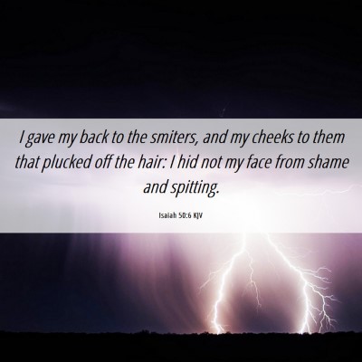Picture 06 - Isaiah 50:6 KJV - I gave my back to the smiters, and my cheeks to - Bible Verse Picture