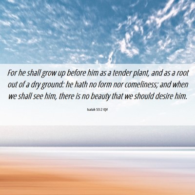 Picture 06 - Isaiah 53:2 KJV - For he shall grow up before him as a tender - Bible Verse Picture