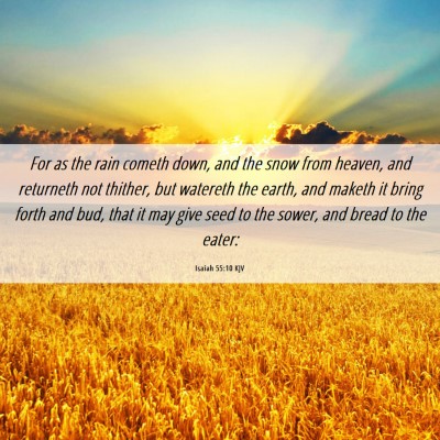 Picture 06 - Isaiah 55:10 KJV - For as the rain cometh down, and the snow from - Bible Verse Picture