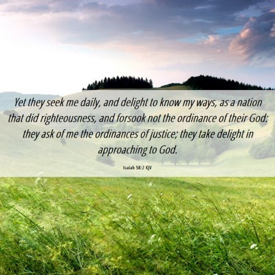 Picture 06 - Isaiah 58:2 KJV - Yet they seek me daily, and delight to know my - Bible Verse Picture