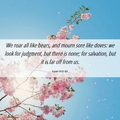 Picture 06 - Isaiah 59:11 KJV - We roar all like bears, and mourn sore like - Bible Verse Picture