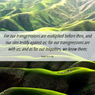 Picture 06 - Isaiah 59:12 KJV - For our transgressions are multiplied before - Bible Verse Picture