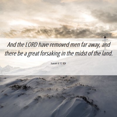 Picture 06 - Isaiah 6:12 KJV - And the LORD have removed men far away, and there - Bible Verse Picture