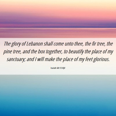 Picture 06 - Isaiah 60:13 KJV - The glory of Lebanon shall come unto thee, the - Bible Verse Picture