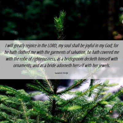 Picture 06 - Isaiah 61:10 KJV - I will greatly rejoice in the LORD, my soul shall - Bible Verse Picture