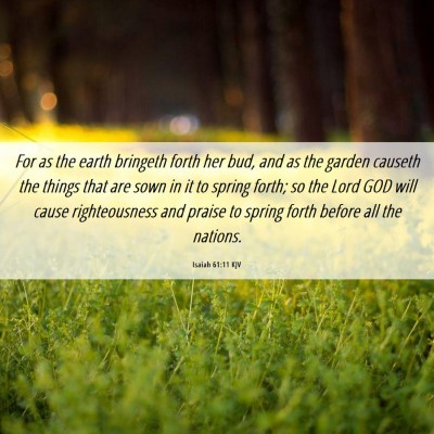 Picture 06 - Isaiah 61:11 KJV - For as the earth bringeth forth her bud, and as - Bible Verse Picture