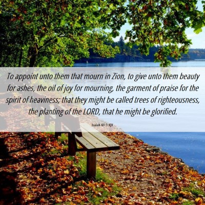 Picture 06 - Isaiah 61:3 KJV - To appoint unto them that mourn in Zion, to give - Bible Verse Picture