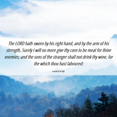 Picture 06 - Isaiah 62:8 KJV - The LORD hath sworn by his right hand, and by the - Bible Verse Picture