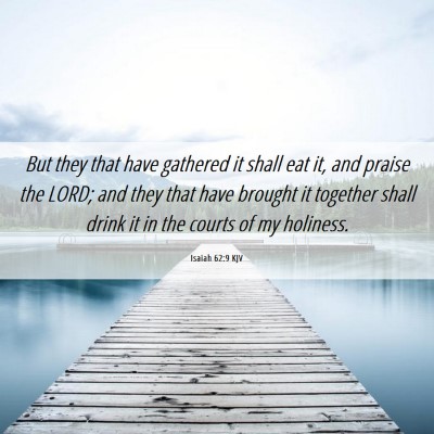 Picture 06 - Isaiah 62:9 KJV - But they that have gathered it shall eat it, and - Bible Verse Picture