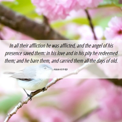 Picture 06 - Isaiah 63:9 KJV - In all their affliction he was afflicted, and the - Bible Verse Picture