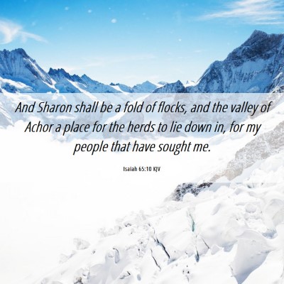 Picture 06 - Isaiah 65:10 KJV - And Sharon shall be a fold of flocks, and the - Bible Verse Picture