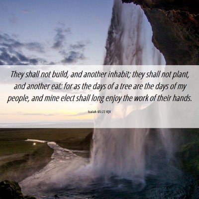 Picture 06 - Isaiah 65:22 KJV - They shall not build, and another inhabit; they - Bible Verse Picture