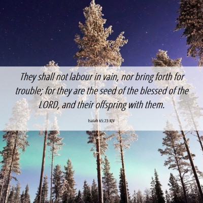 Picture 06 - Isaiah 65:23 KJV - They shall not labour in vain, nor bring forth - Bible Verse Picture