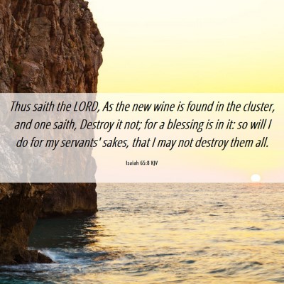 Picture 06 - Isaiah 65:8 KJV - Thus saith the LORD, As the new wine is found in - Bible Verse Picture