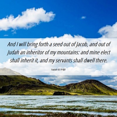 Picture 06 - Isaiah 65:9 KJV - And I will bring forth a seed out of Jacob, and - Bible Verse Picture