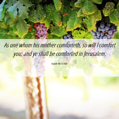 Picture 06 - Isaiah 66:13 KJV - As one whom his mother comforteth, so will I - Bible Verse Picture