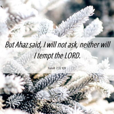 Picture 06 - Isaiah 7:12 KJV - But Ahaz said, I will not ask, neither will I - Bible Verse Picture