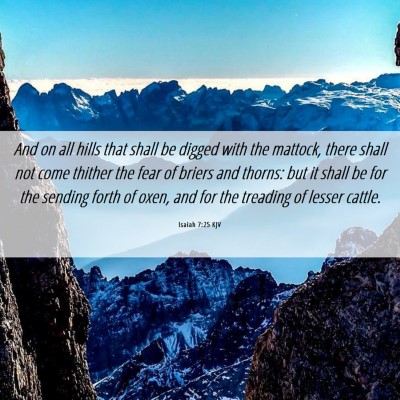Picture 06 - Isaiah 7:25 KJV - And on all hills that shall be digged with the - Bible Verse Picture