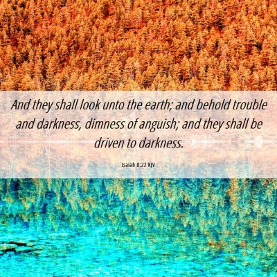 Picture 06 - Isaiah 8:22 KJV - And they shall look unto the earth; and behold - Bible Verse Picture