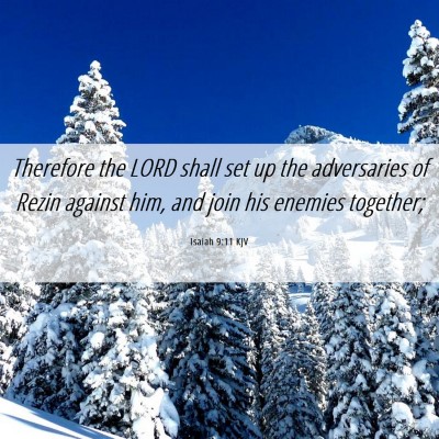 Picture 06 - Isaiah 9:11 KJV - Therefore the LORD shall set up the adversaries - Bible Verse Picture