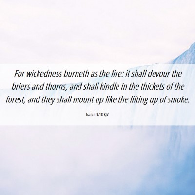 Picture 06 - Isaiah 9:18 KJV - For wickedness burneth as the fire: it shall - Bible Verse Picture