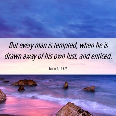 Picture 06 - James 1:14 KJV - But every man is tempted, when he is drawn away - Bible Verse Picture