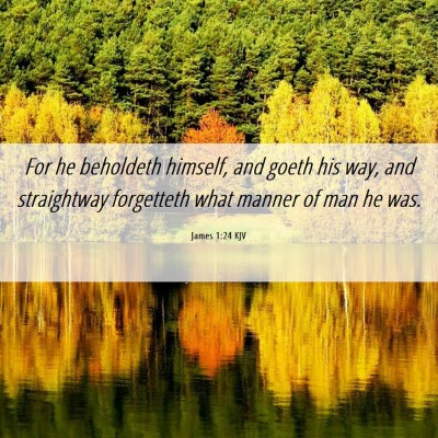 Picture 06 - James 1:24 KJV - For he beholdeth himself, and goeth his way, and - Bible Verse Picture