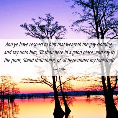 Picture 06 - James 2:3 KJV - And ye have respect to him that weareth the gay - Bible Verse Picture