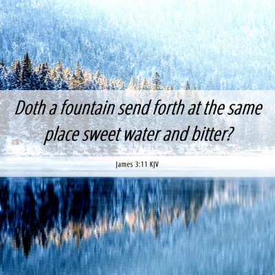 Picture 06 - James 3:11 KJV - Doth a fountain send forth at the same place - Bible Verse Picture