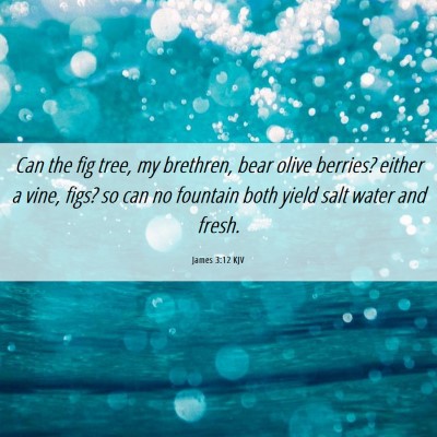 Picture 06 - James 3:12 KJV - Can the fig tree, my brethren, bear olive - Bible Verse Picture