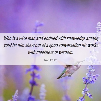 Picture 06 - James 3:13 KJV - Who is a wise man and endued with knowledge among - Bible Verse Picture