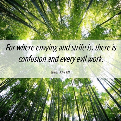 Picture 06 - James 3:16 KJV - For where envying and strife is, there is - Bible Verse Picture