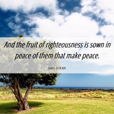 Picture 06 - James 3:18 KJV - And the fruit of righteousness is sown in peace - Bible Verse Picture