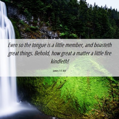 Picture 06 - James 3:5 KJV - Even so the tongue is a little member, and - Bible Verse Picture