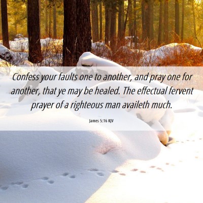 Picture 06 - James 5:16 KJV - Confess your faults one to another, and pray one - Bible Verse Picture