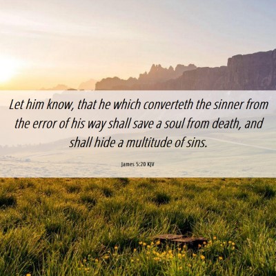 Picture 06 - James 5:20 KJV - Let him know, that he which converteth the sinner - Bible Verse Picture