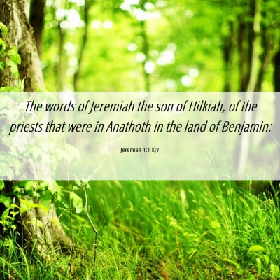 Picture 06 - Jeremiah 1:1 KJV - The words of Jeremiah the son of Hilkiah, of the - Bible Verse Picture