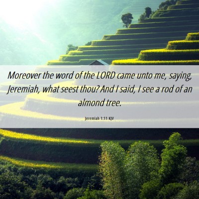Picture 06 - Jeremiah 1:11 KJV - Moreover the word of the LORD came unto me, - Bible Verse Picture