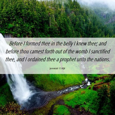 Picture 06 - Jeremiah 1:5 KJV - Before I formed thee in the belly I knew thee; - Bible Verse Picture