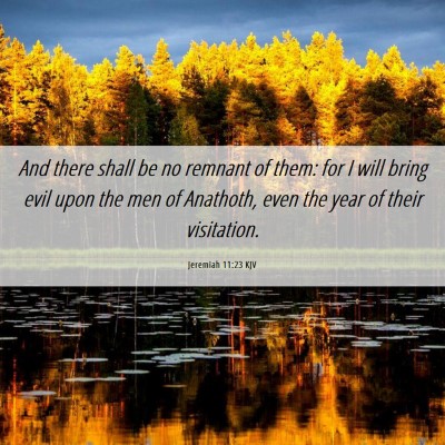 Picture 06 - Jeremiah 11:23 KJV - And there shall be no remnant of them: for I will - Bible Verse Picture