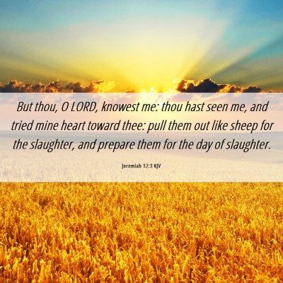 Picture 06 - Jeremiah 12:3 KJV - But thou, O LORD, knowest me: thou hast seen me, - Bible Verse Picture