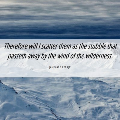 Picture 06 - Jeremiah 13:24 KJV - Therefore will I scatter them as the stubble that - Bible Verse Picture