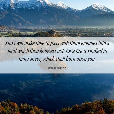 Picture 06 - Jeremiah 15:14 KJV - And I will make thee to pass with thine enemies - Bible Verse Picture
